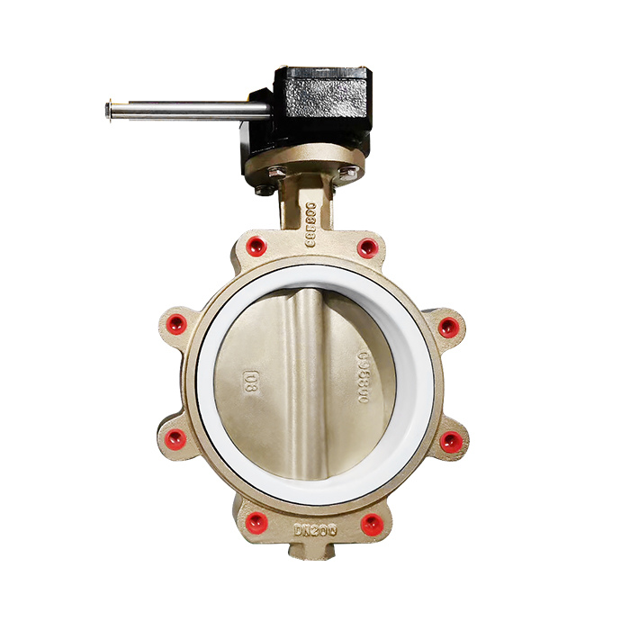 concentric butterfly valve 03