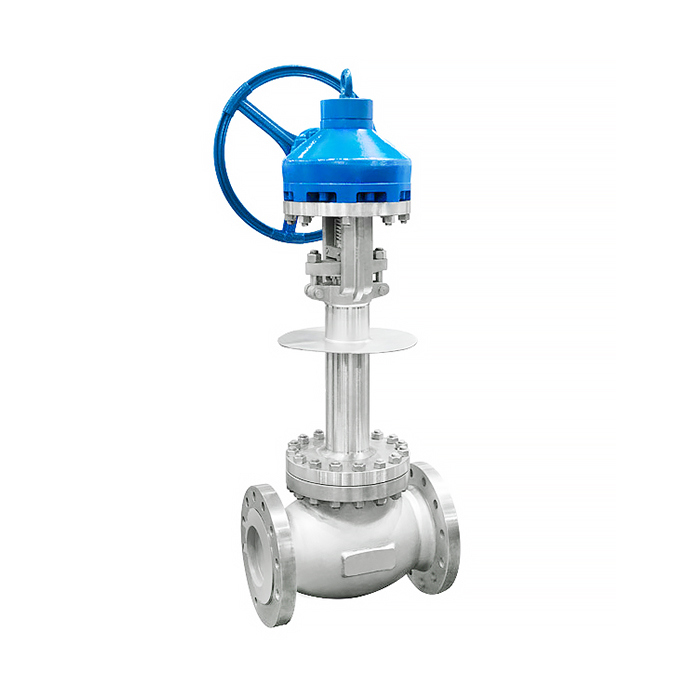 Cryogenic Globe Valve
