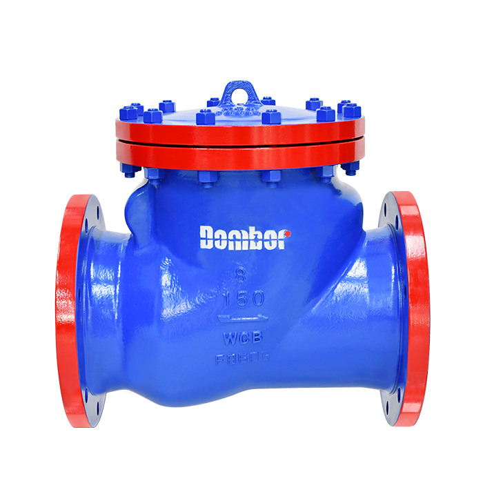 swing check valve 01