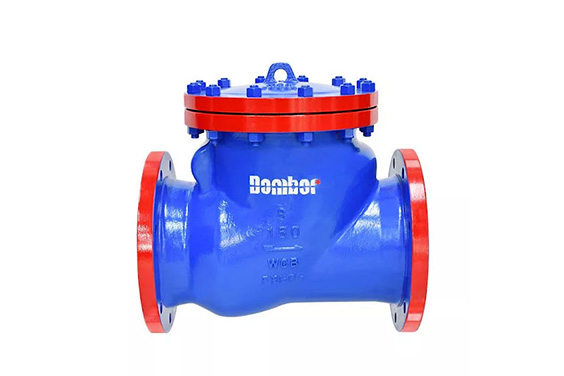 An industrial check valve