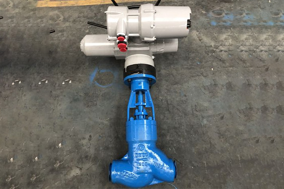 Globe Valves
