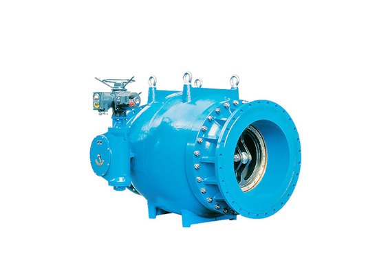 A non slam check valve.