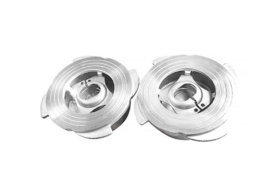 Dual Plate Check Valves