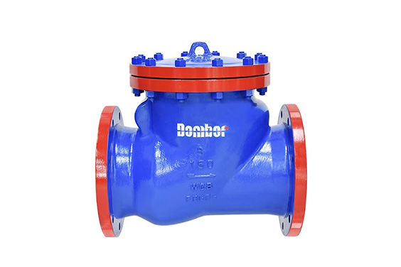 Swing Check Valve