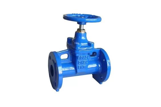 gate Valve
