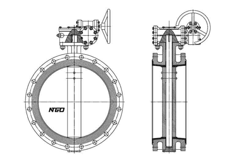 Both Flanged Concentric Butterfly Valve