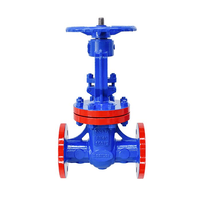 Gate valve 1
