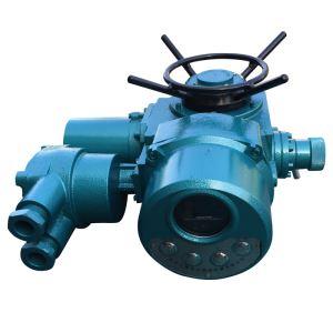 Rotary electric valve actuators