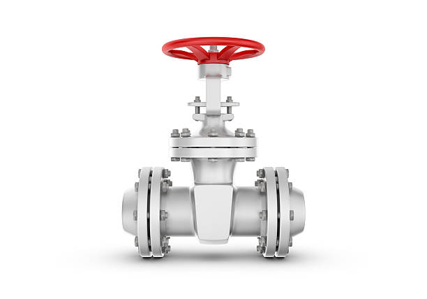 Bellow Seal Globe Valves