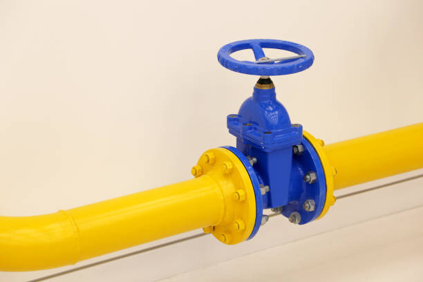 Parallel Slide Gate Valve